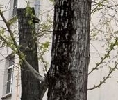 Продать Квартиры вторичка проспект Маршала Жукова, 7К1   