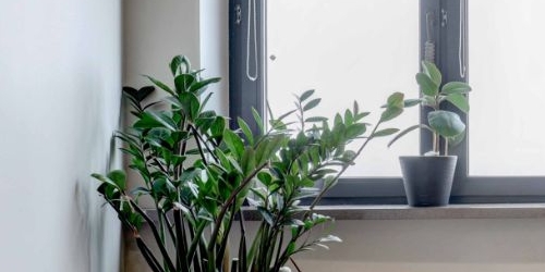 3-комн квартира Ленинский проспект, 119к1