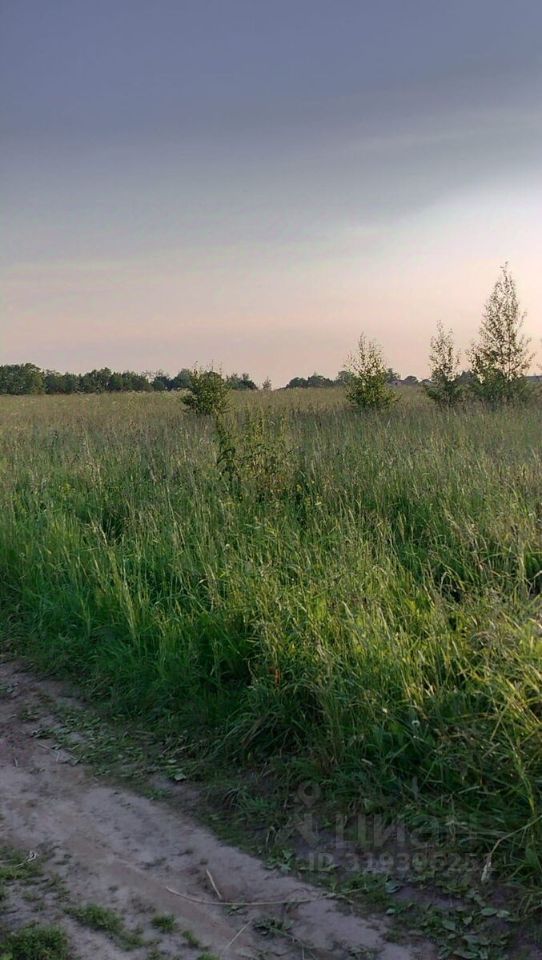 Продажа земли д. Хапо-Ое, переулок Озерковский
