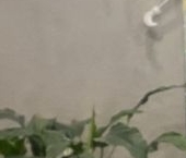 Продать Квартиры вторичка Балаклавский проспект, 16   