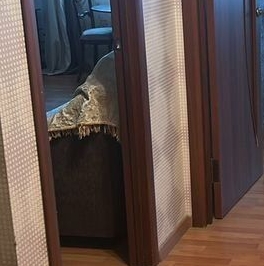 Аренда 1-комн квартиры на вторичном рынке Балашиха, улица Ситникова, 6 Аренда 1-комн квартиры на вторичном рынке Балашиха, улица Ситникова, 6