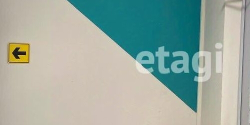 1-комн квартира Заневский проспект, 42