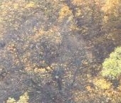 Продать Земельные участки, земля д. Юкки, шоссе Ленинградское, 48   