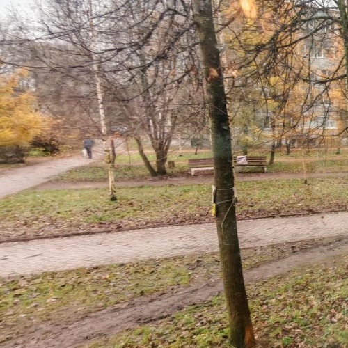 3-комн квартира Всеволожск, улица Плоткина, 5