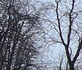 Продать Квартиры вторичка Авиационный мкр, проспект Академика Туполева, 13   