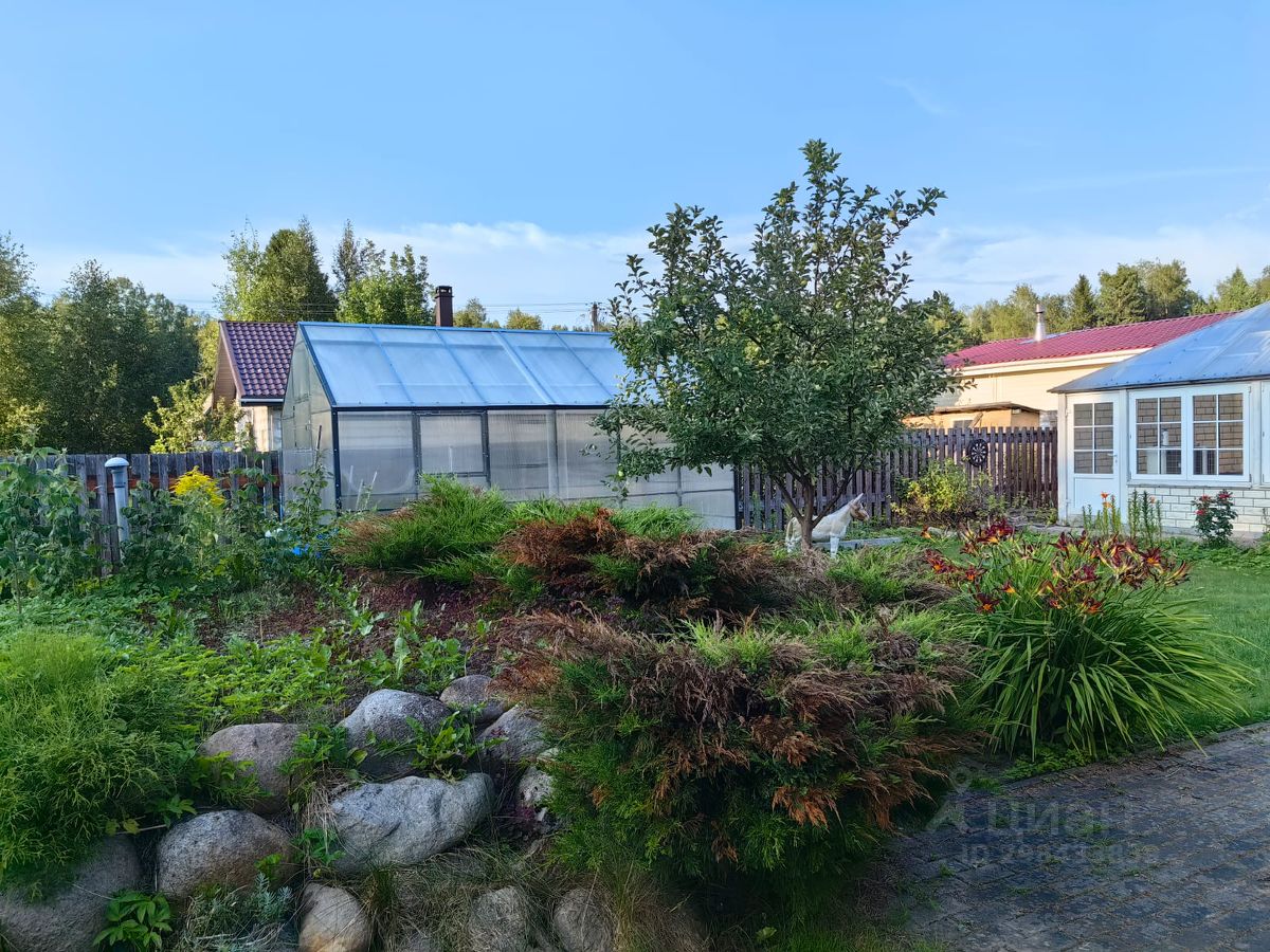 Продажа дома Восход садоводческий массив, улица 11-я Ладожская,  д. 22