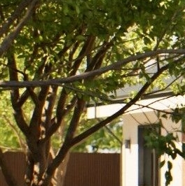 Продажа дома д. Кабацкое, улица Центральная, 1