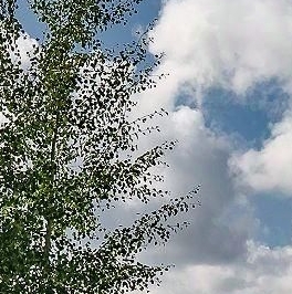 Продажа дома Юкковское парк кп, д. 142 Продажа дома Юкковское парк кп, д. 142