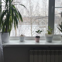 Продажа 1-комн квартиры на вторичном рынке Всеволожск, ул Шишканя,  д. 16