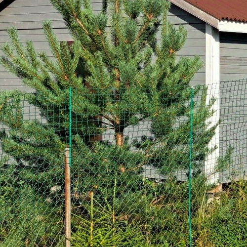 Коттедж/дом Аньялово массив, улица Добрая