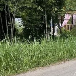 Продажа земли Посадников остров садоводческий массив, 8-я линия Продажа земли Посадников остров садоводческий массив, 8-я линия