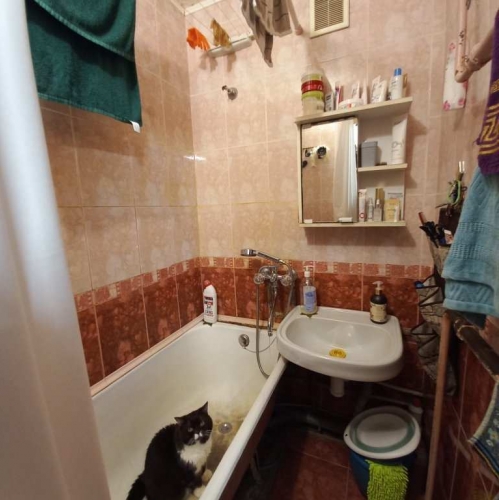 Комната Лени Голикова ул. ,  д. 50