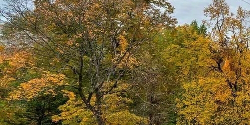 2-комн квартира Каменноостровский проспект, 19/13