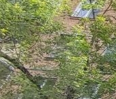 Продать Квартиры вторичка Миллионная улица, 11К1   