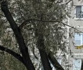 Продать Квартиры вторичка Раменское, улица Гурьева, 26   