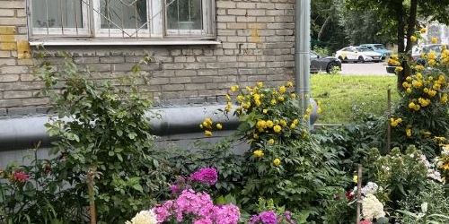 Комната Бойцовая улица, 17К3