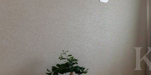 3-комн квартира Большой Палашевский переулок, 3