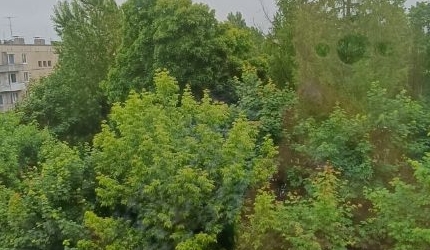 2-комн квартира д. Кипень, шоссе Ропшинское, 21