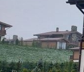 Продать Дачи, коттеджи, загородные дома д. Мистолово, проезд Альпийский, 21/3   