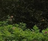 Продать Дачи, коттеджи, загородные дома Рубеж массив, Подводник СНТ, 9-я линия   