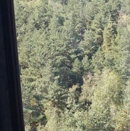 Продажа 2-комн квартиры на вторичном рынке Котельники, улица Сосновая, 1к1