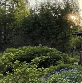 Продажа дома Нева-2 СНТ, улица Сосновая