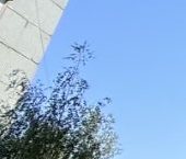 Продать Квартиры вторичка Сходня мкр, улица Некрасова, 6   