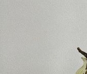 Сдать в аренду Квартиры вторичка Мытищи, улица Стрельбище Динамо, 10   