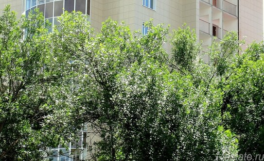 Продажа 3-комн квартиры на вторичном рынке Шатура, ул Интернациональная,  д. 16