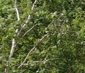 Продать Квартиры вторичка Мытищи, Новомытищинский проспект, 88к1   