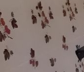 Сдать в аренду Квартиры вторичка д. Насадкино, 6   