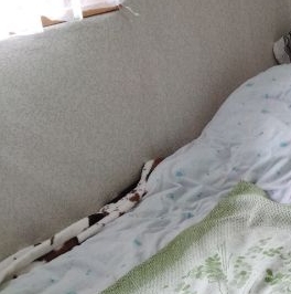 Продажа земли Спутник-2 СНТ