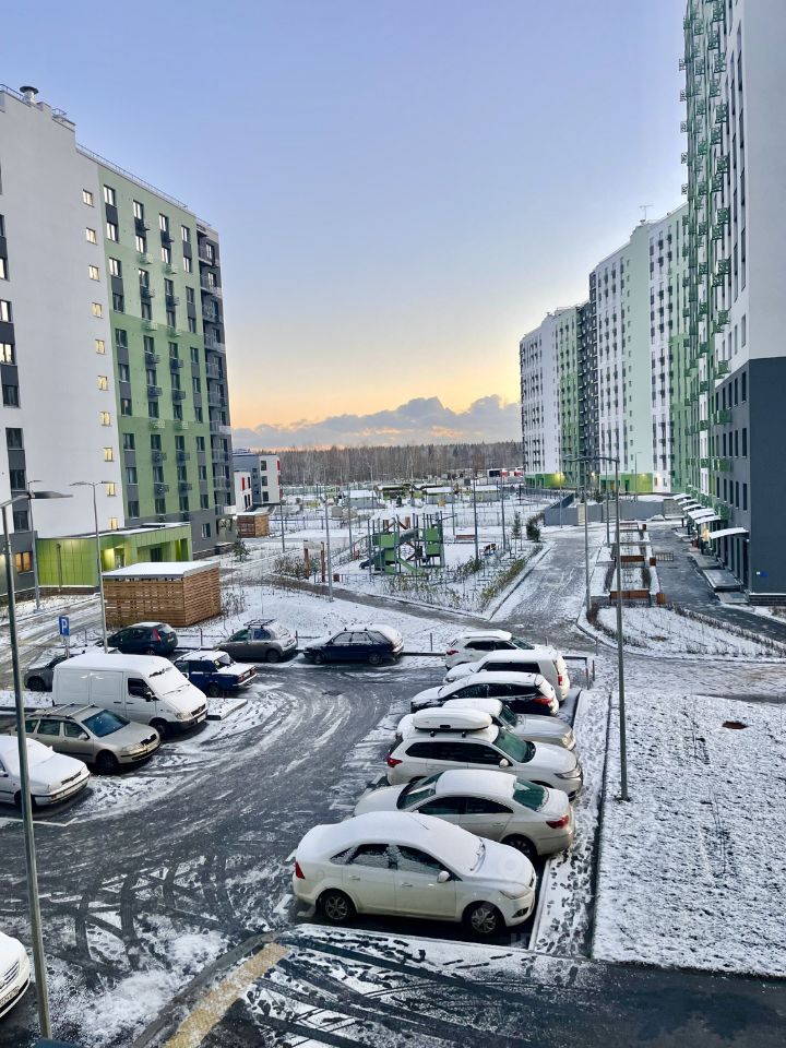 Аренда студии пос. Ковалево, улица Александра Разгонина, 1к1