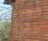 Продать Дачи, коттеджи, загородные дома д. Виллози, 29   