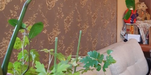 4-комн квартира Валдайский проезд, 9АК1