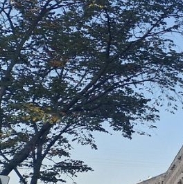 Продажа комнаты проспект Шаумяна, 2