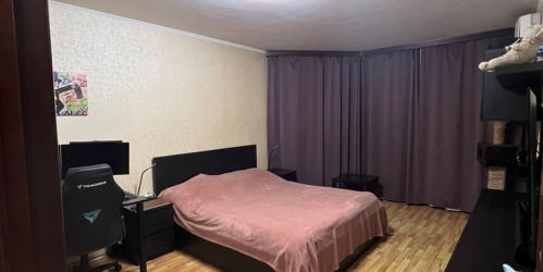 1-комн квартира Балашиха, Первомайская улица, дом 1