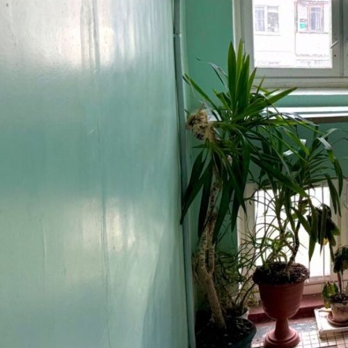 1-комн квартира Имени Морозова городской поселок, улица Спорта, 8