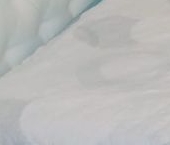 Сдать в аренду Комнаты в квартирах улица Савушкина, 121к1   