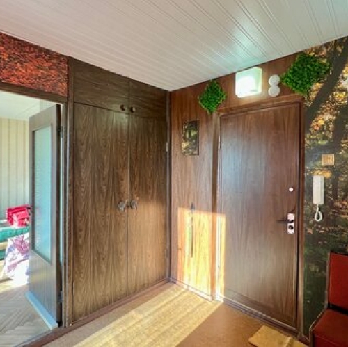 3-комн квартира Ветеранов пр-кт,  д. 47