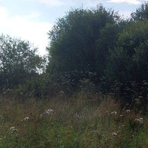 Земельный участок д. Пухолово, улица Голицинская