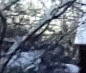 Продать Дачи, коттеджи, загородные дома Мяглово-Карьер садоводческий массив, Уткина заводь СНТ, 10-я линия  314 