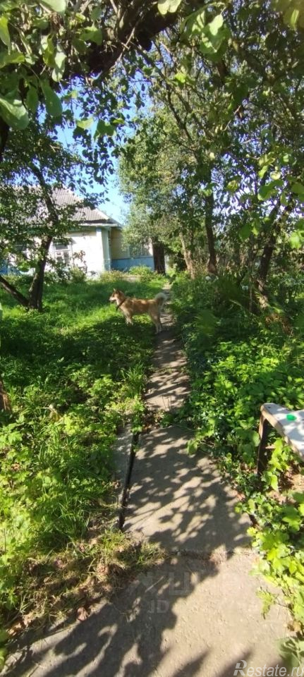 Продажа земли Советская улица,  д. 46/2