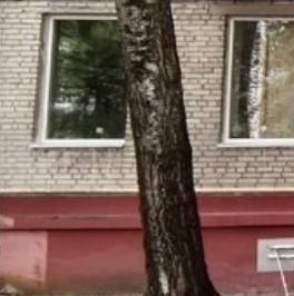 Продажа 1-комн квартиры на вторичном рынке Люберцы, улица Космонавтов, 14 Продажа 1-комн квартиры на вторичном рынке Люберцы, улица Космонавтов, 14