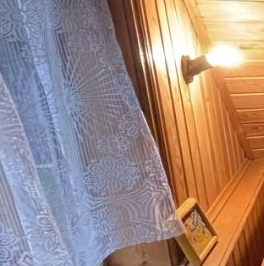 Продажа дома Сосновый Бор, Ромашка СНТ, улица Цветочная,  д. 168