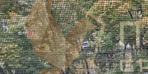 Студия аллея Первой Маевки, 15с1