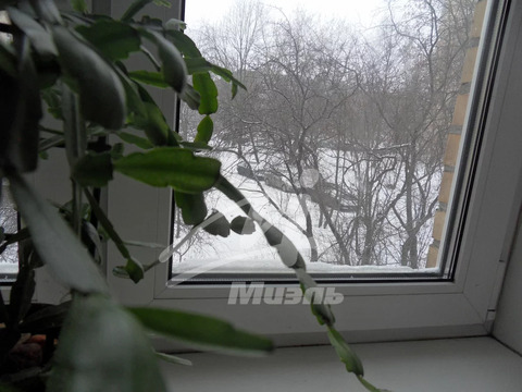 2-комн квартира Балашиха, ул. Живописная,  д. 8