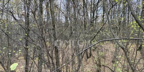 1-комн квартира улица Тёплый Стан,  д. 4