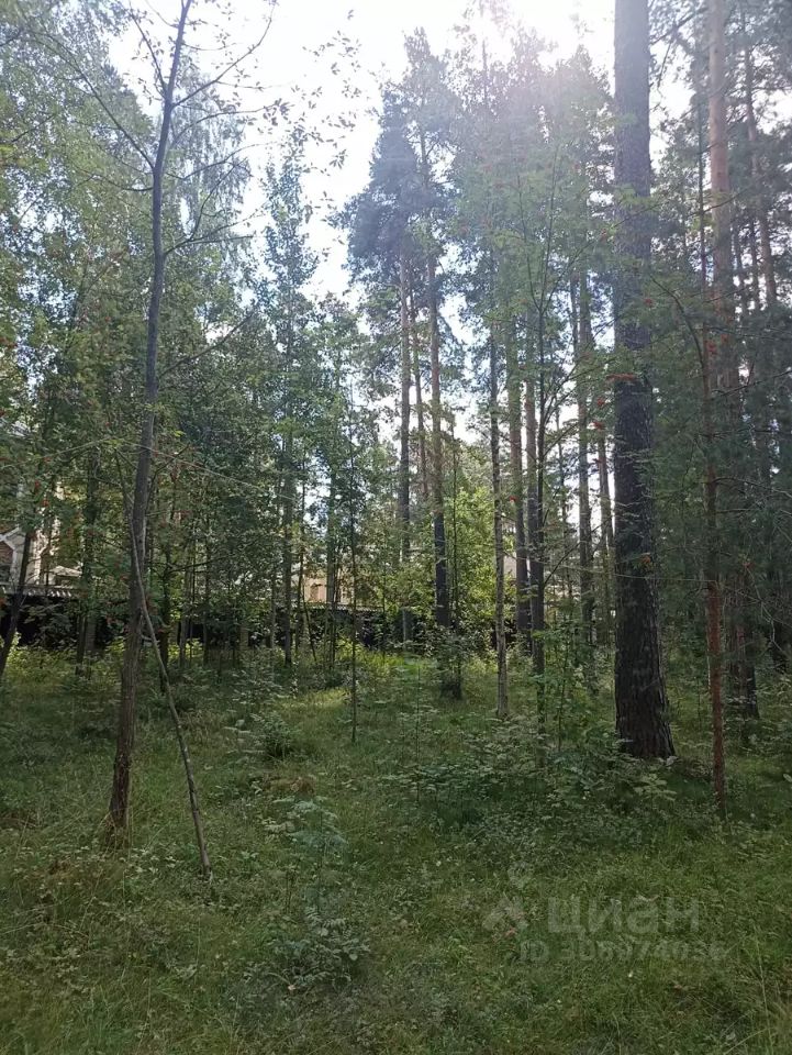 Продажа земли Всеволожск, проспект Козлова