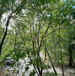 Аренда 1-комн квартиры на вторичном рынке Полоцкая улица,  д. 16